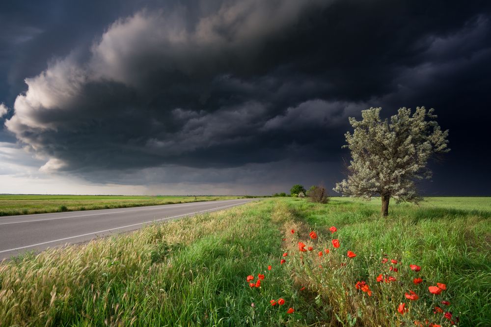 Photograph by Кривцов Андрей