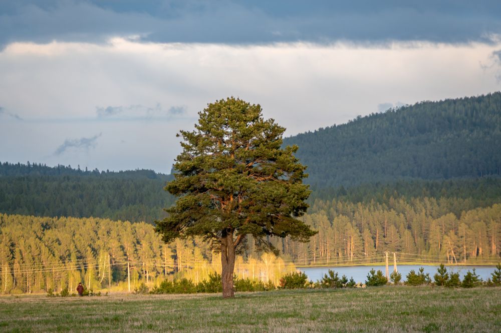 Photograph by Высотских Владимир