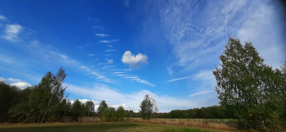 Photograph by Светлана Цапина