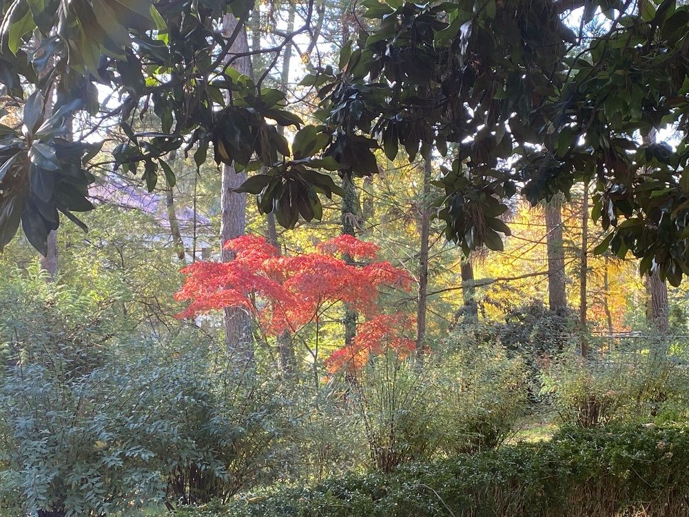 Photograph by Ольга Шабалина