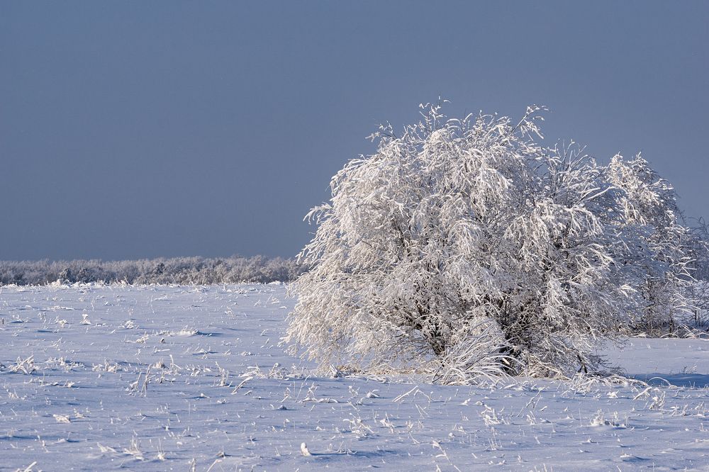 Photograph by Александр Шершнев