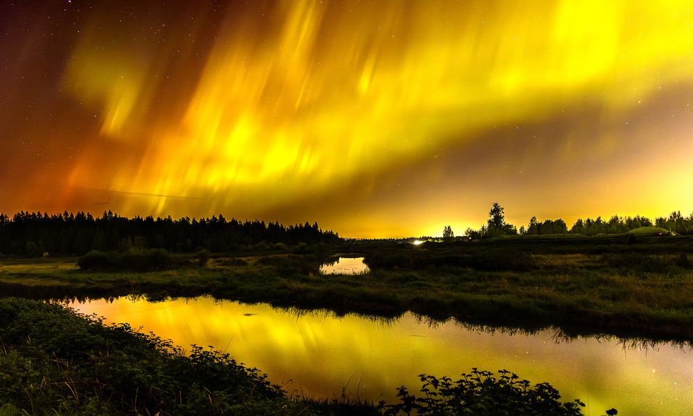 Фотография автора Frida Aspani