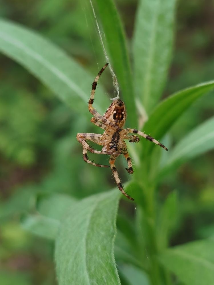 Photograph by Galina Belinskaya