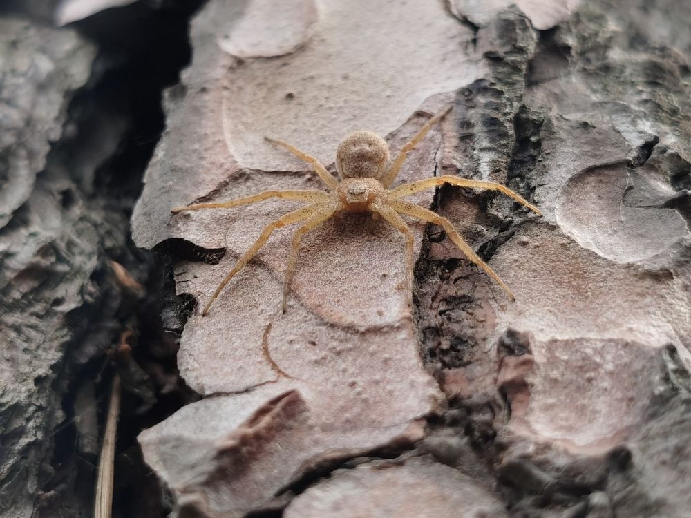 Photograph by Galina Belinskaya