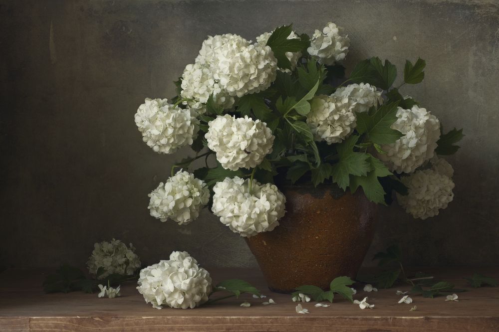 Photograph by Вышарь Максим