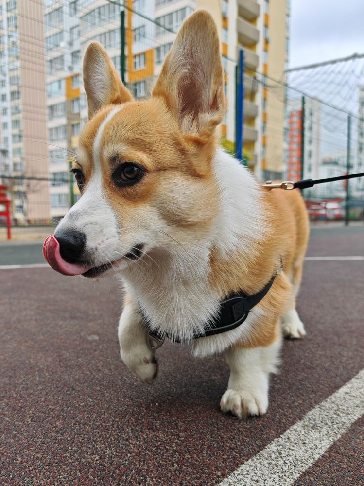 Photograph by Galina Belinskaya