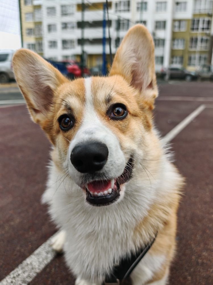 Photograph by Galina Belinskaya