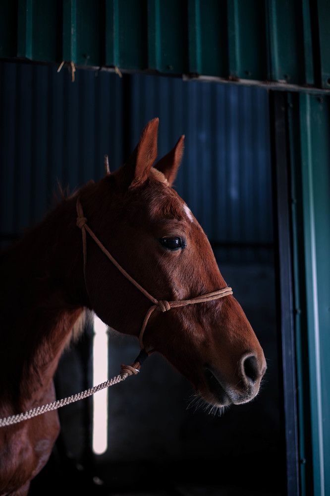Photograph by Анастасия Соболевская