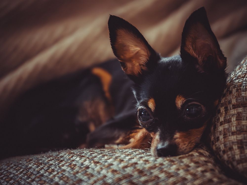 Photograph by Алексей Петров