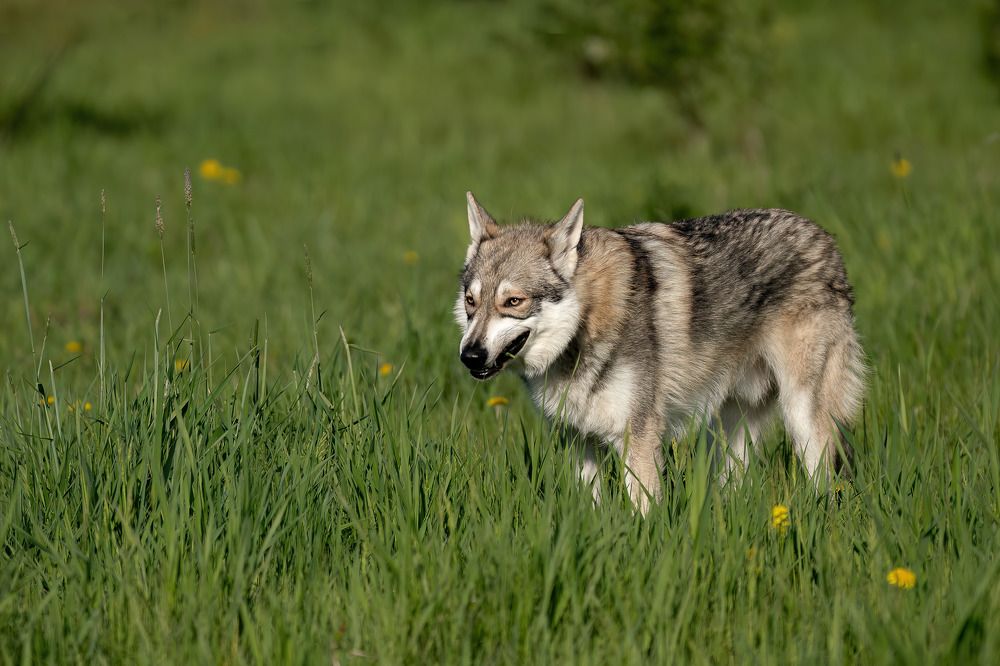 Photograph by Марина Виноградова