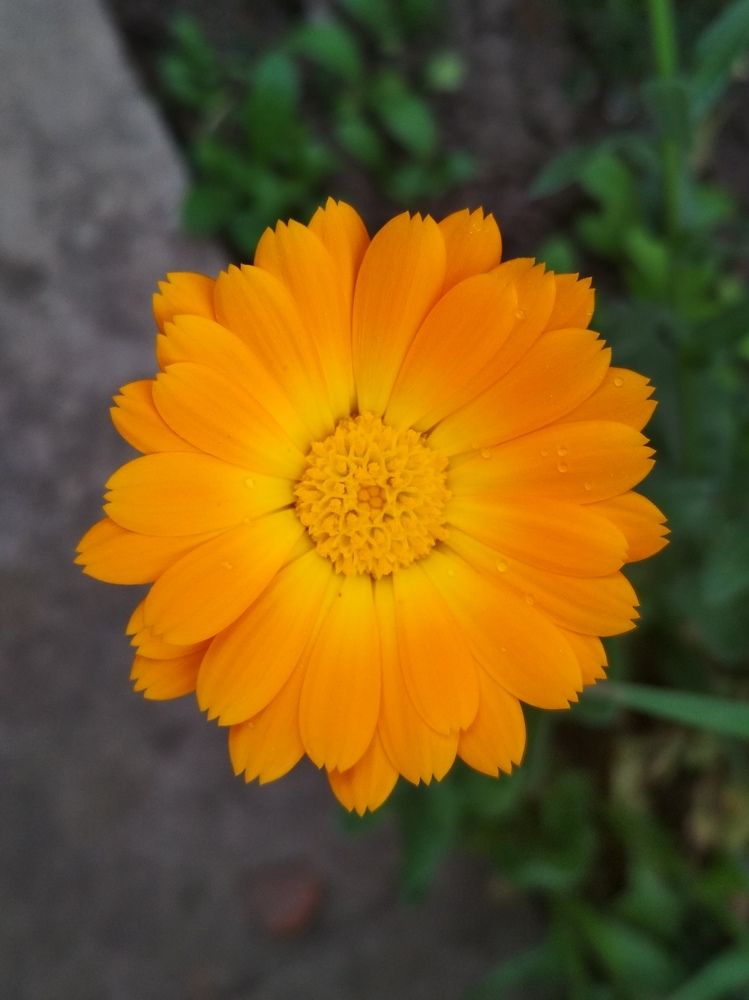 Photograph by Дарья Зотова