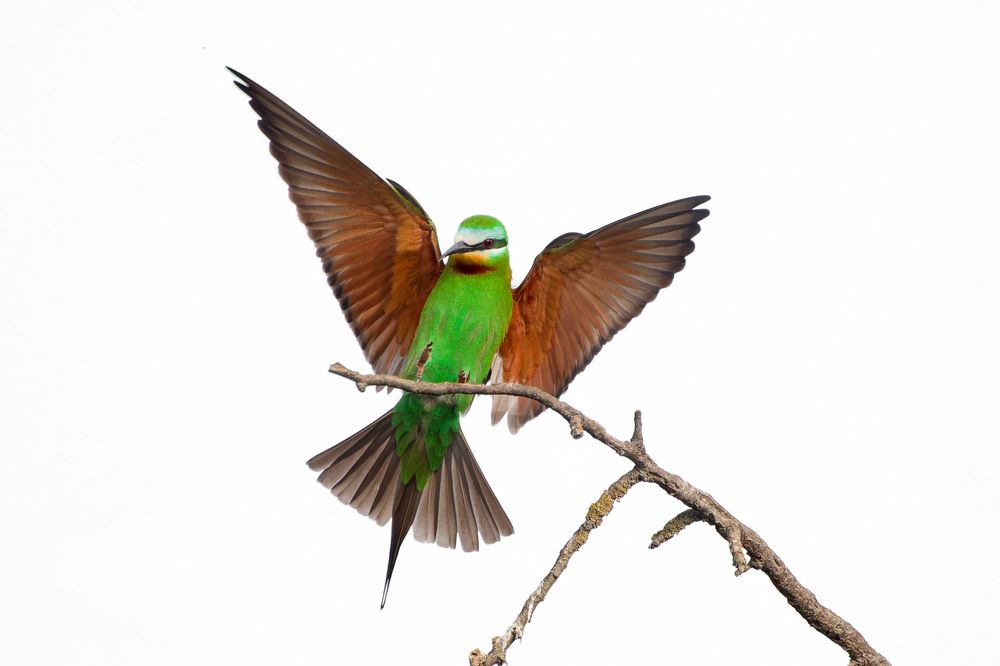 Photograph by Светлана Барабанщикова