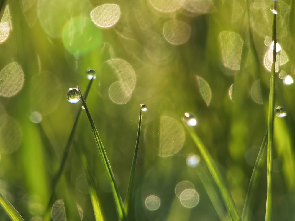 Photograph by Tanzilya Gabidullina