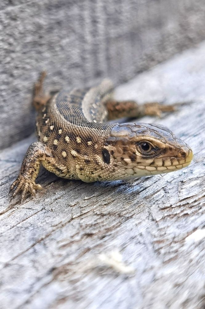 Photograph by Tanzilya Gabidullina