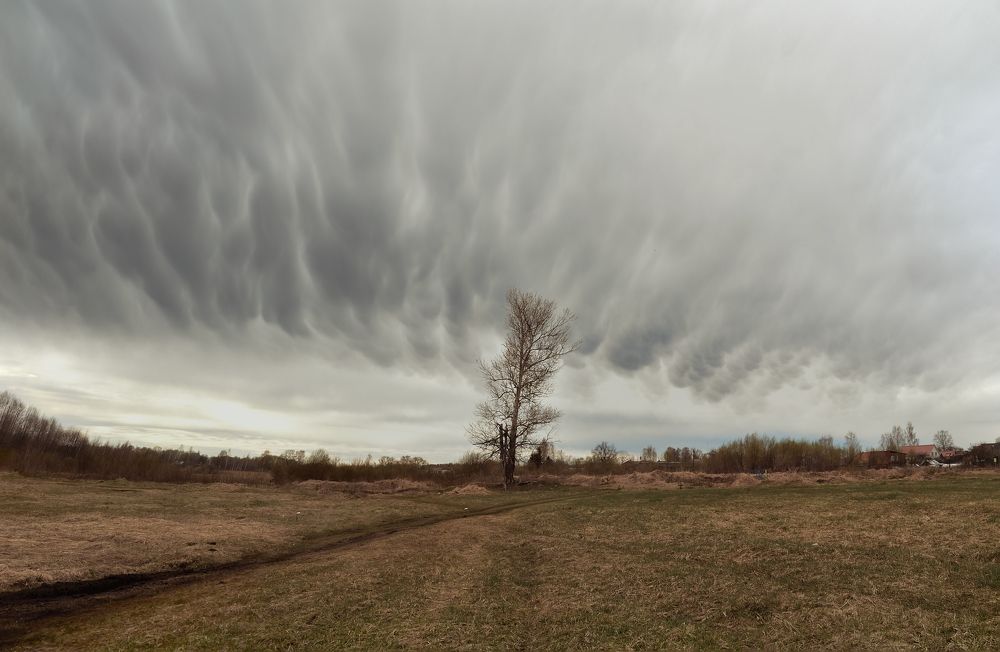 Photograph by Ирина Кленкова