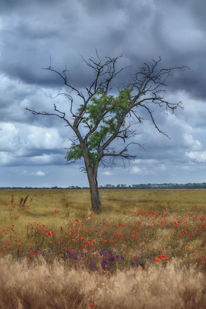 Photograph by Ирина Кленкова