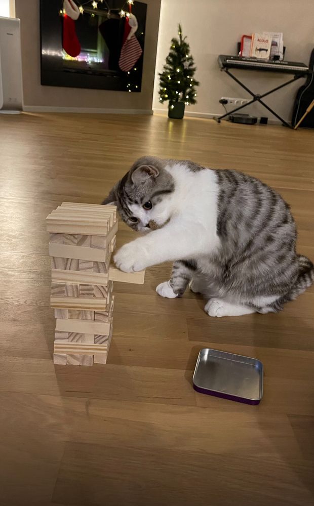 Photograph by Viktoria German