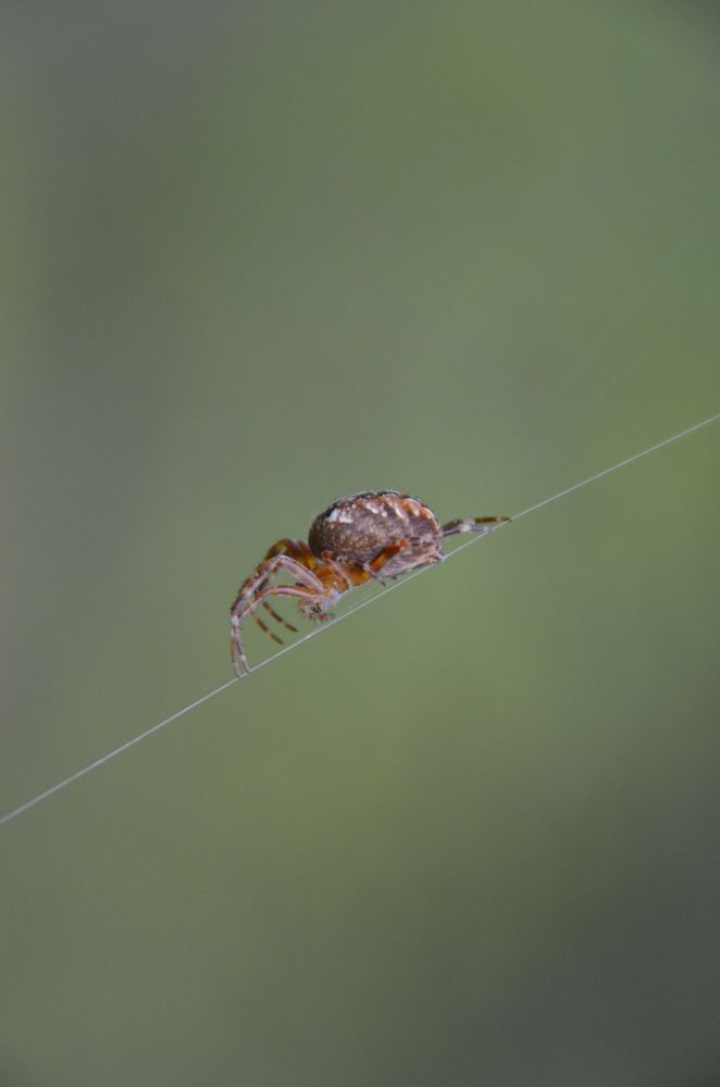 Photograph by Николай Соколовский