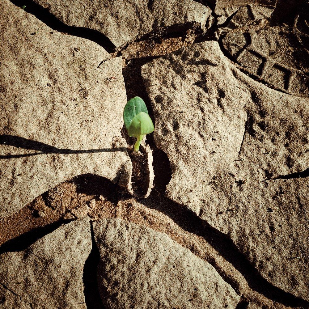 Photograph by Галина