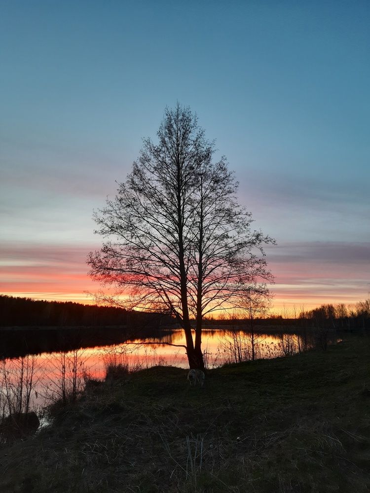 Photograph by Ирина Кленкова