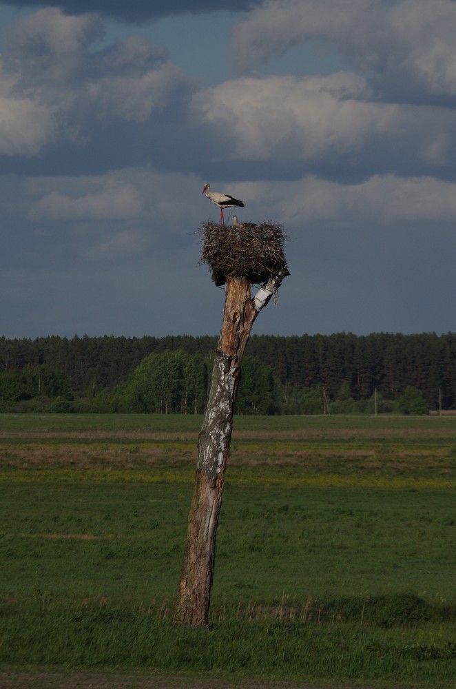Буслянка