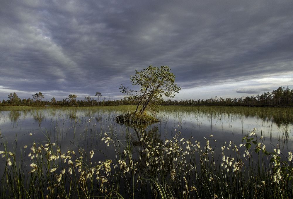 Фотография автора Straand2614