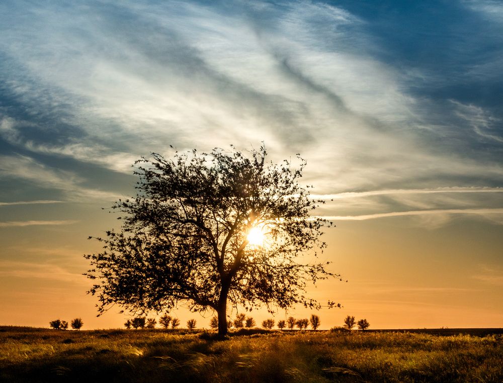 Фотография автора Straand2614