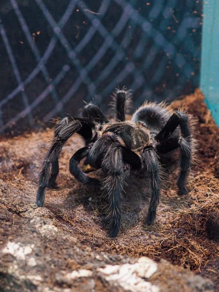 Photograph by Natalia Novikova