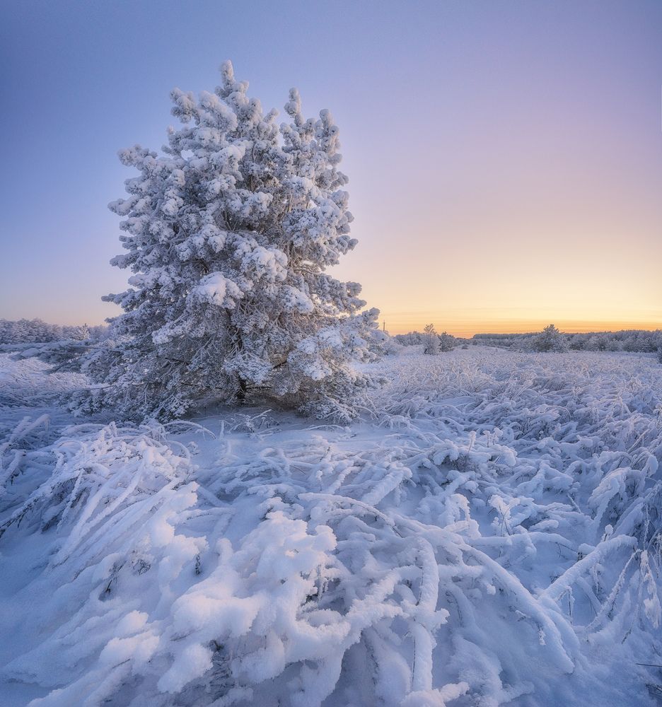 Photograph by  Михаил