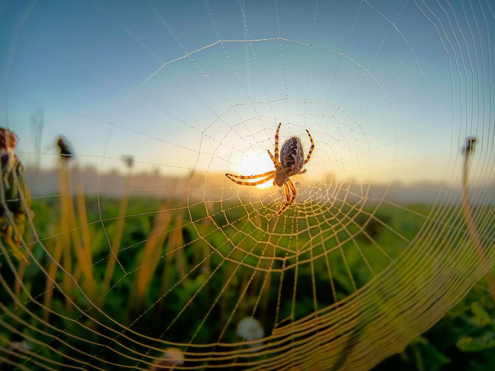 Photograph by Кондрашова Светлана