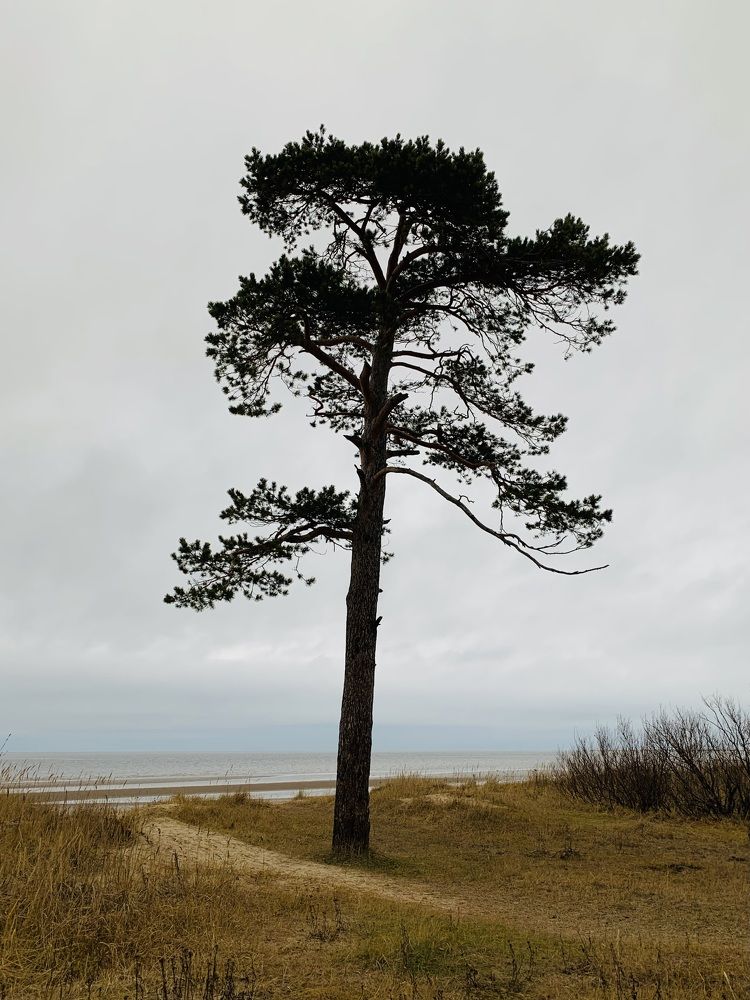 Photograph by Наталья Бирук