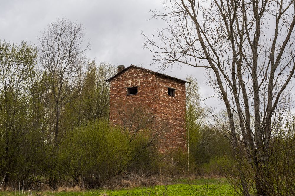 Photograph by Николай Литвак