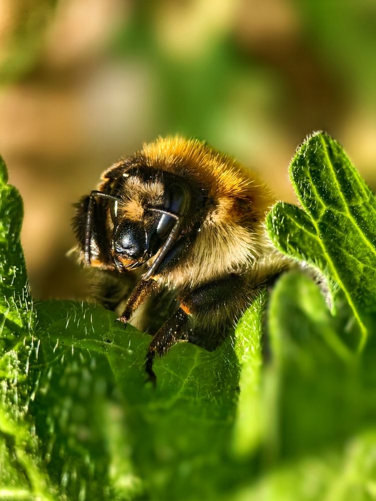 Фотография автора Ola La