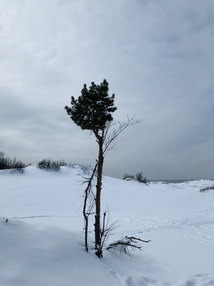 Photograph by Наталья Бирук