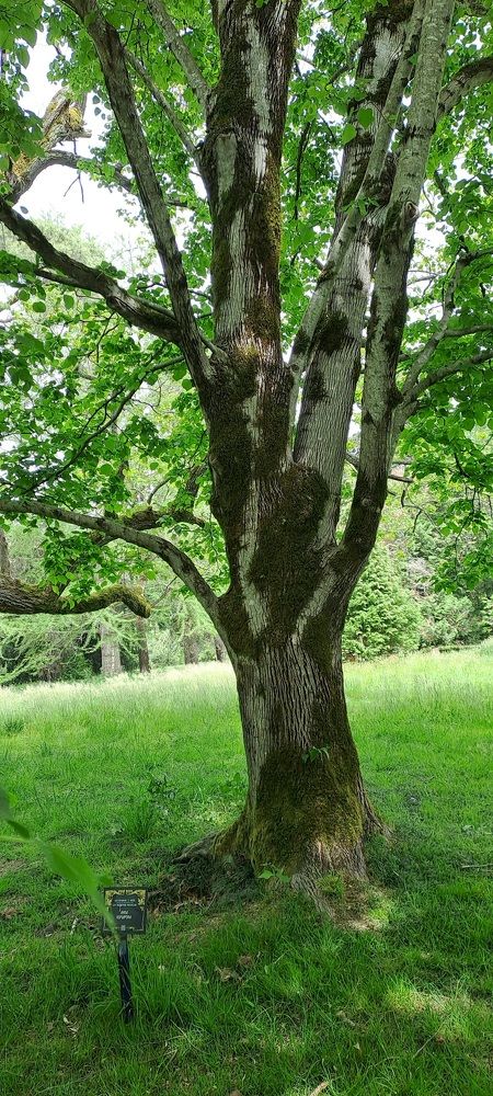 Photograph by Александра