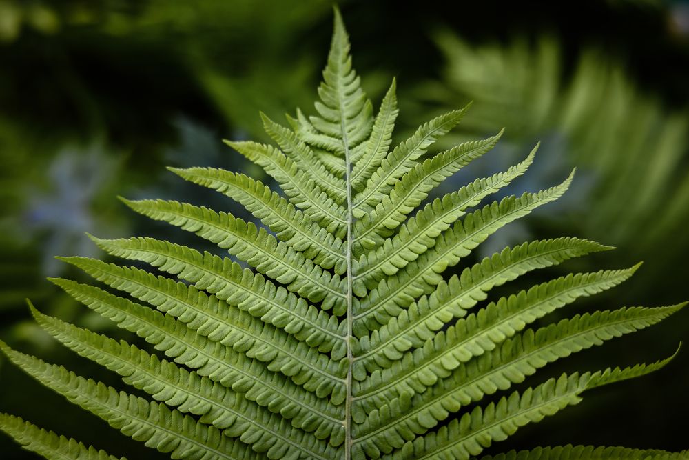 Photograph by Дарья Кончакова