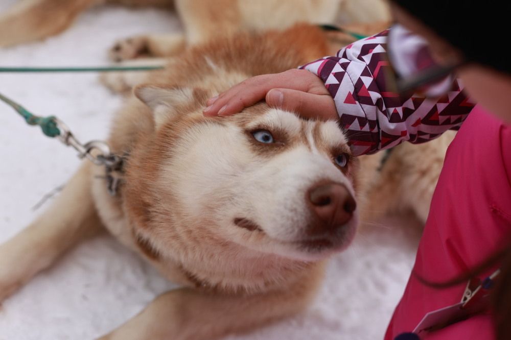 Photograph by Татьяна Пелгонен