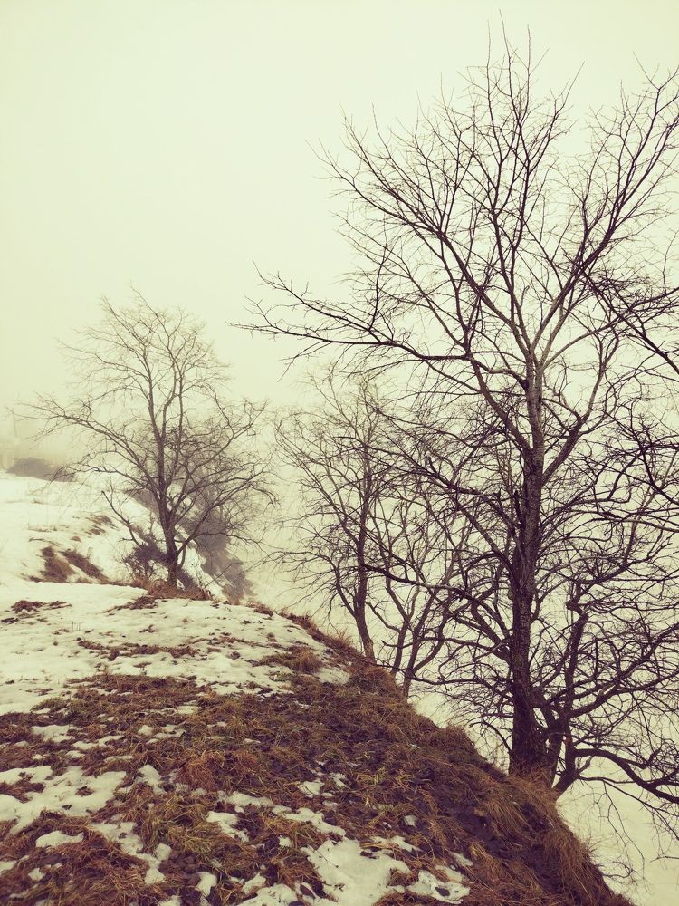 Photograph by Елена Наленч