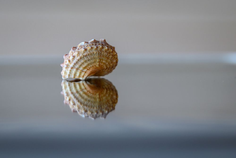 Photograph by Дарья Кончакова