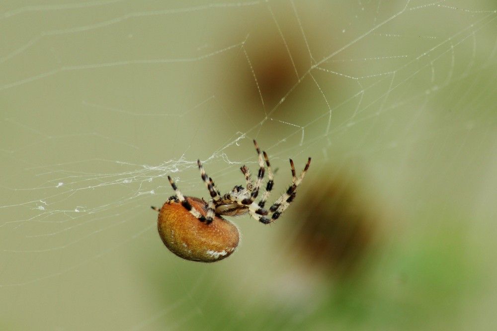 Фотография автора Геннадий Титов