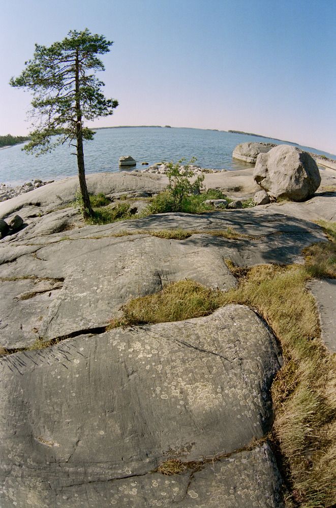 Photograph by Вячеслав Лычков