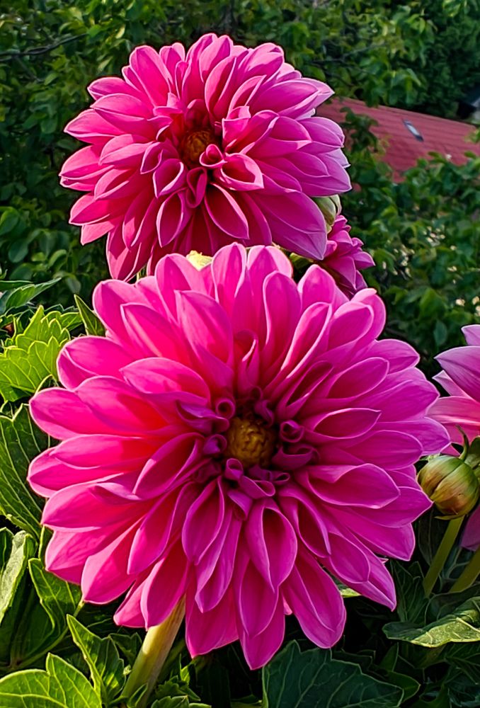 Photograph by Catalin Grădinaru