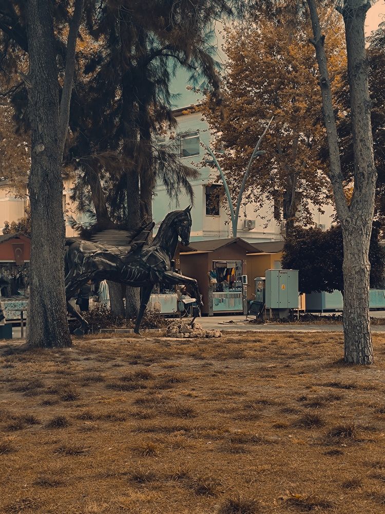 Фотография автора Mikheil Dentoshvili