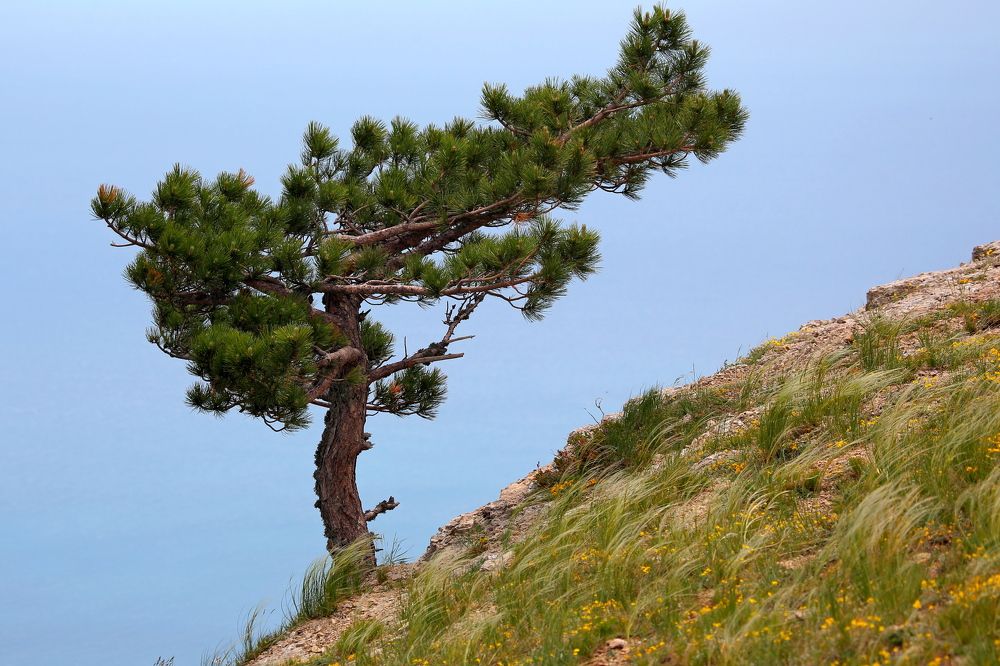 Photograph by Александр Глебов