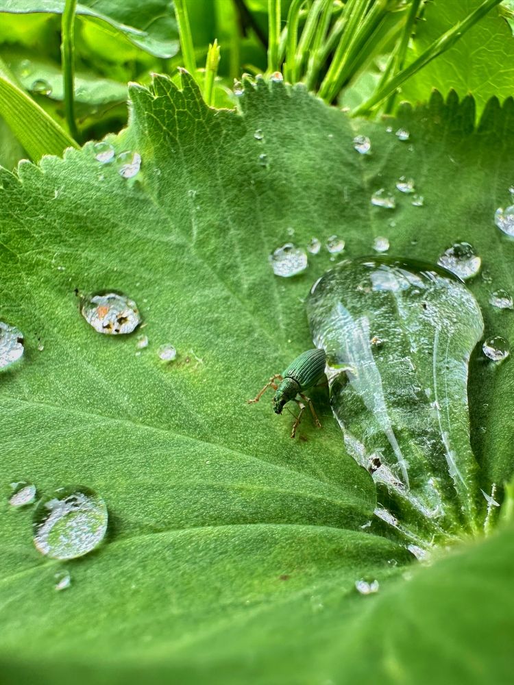 Photograph by Лидия