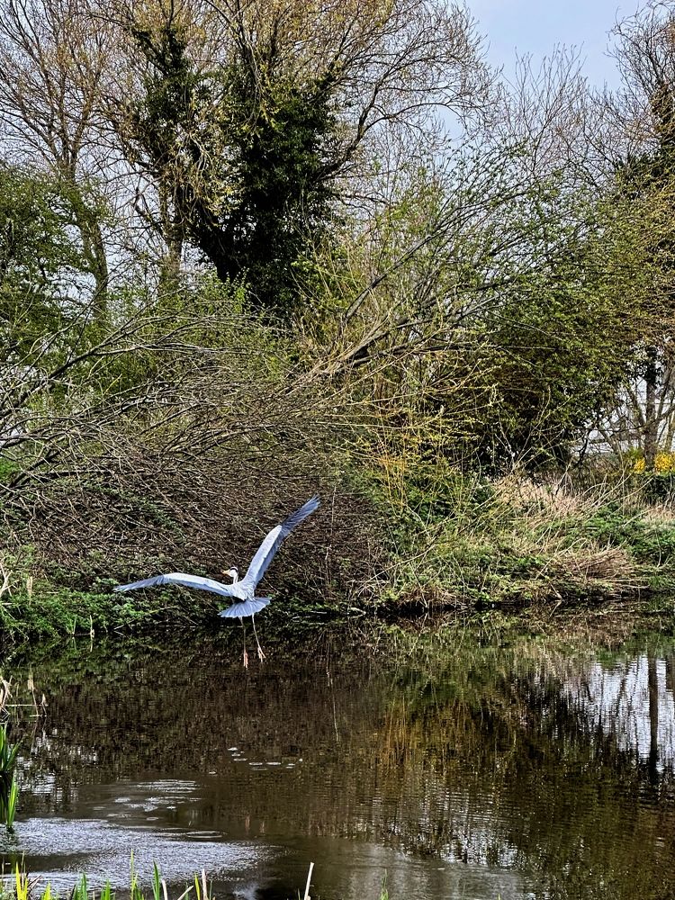 Photograph by Лидия