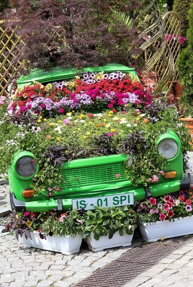 Photograph by Catalin Grădinaru