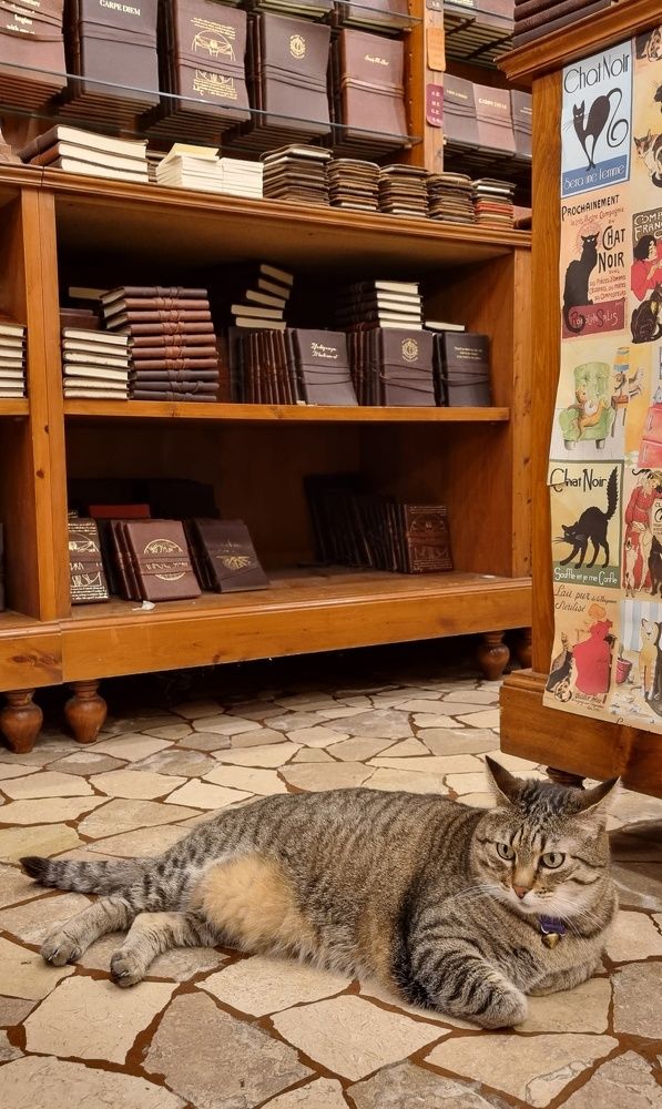 Photograph by Светлана