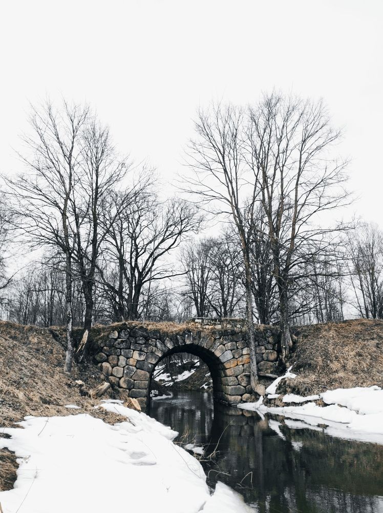 Photograph by Алексей Коровин