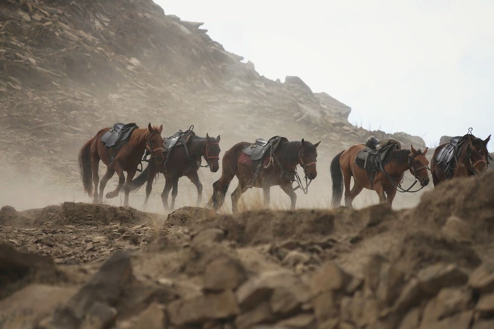 Фотография автора Елена Кириллова